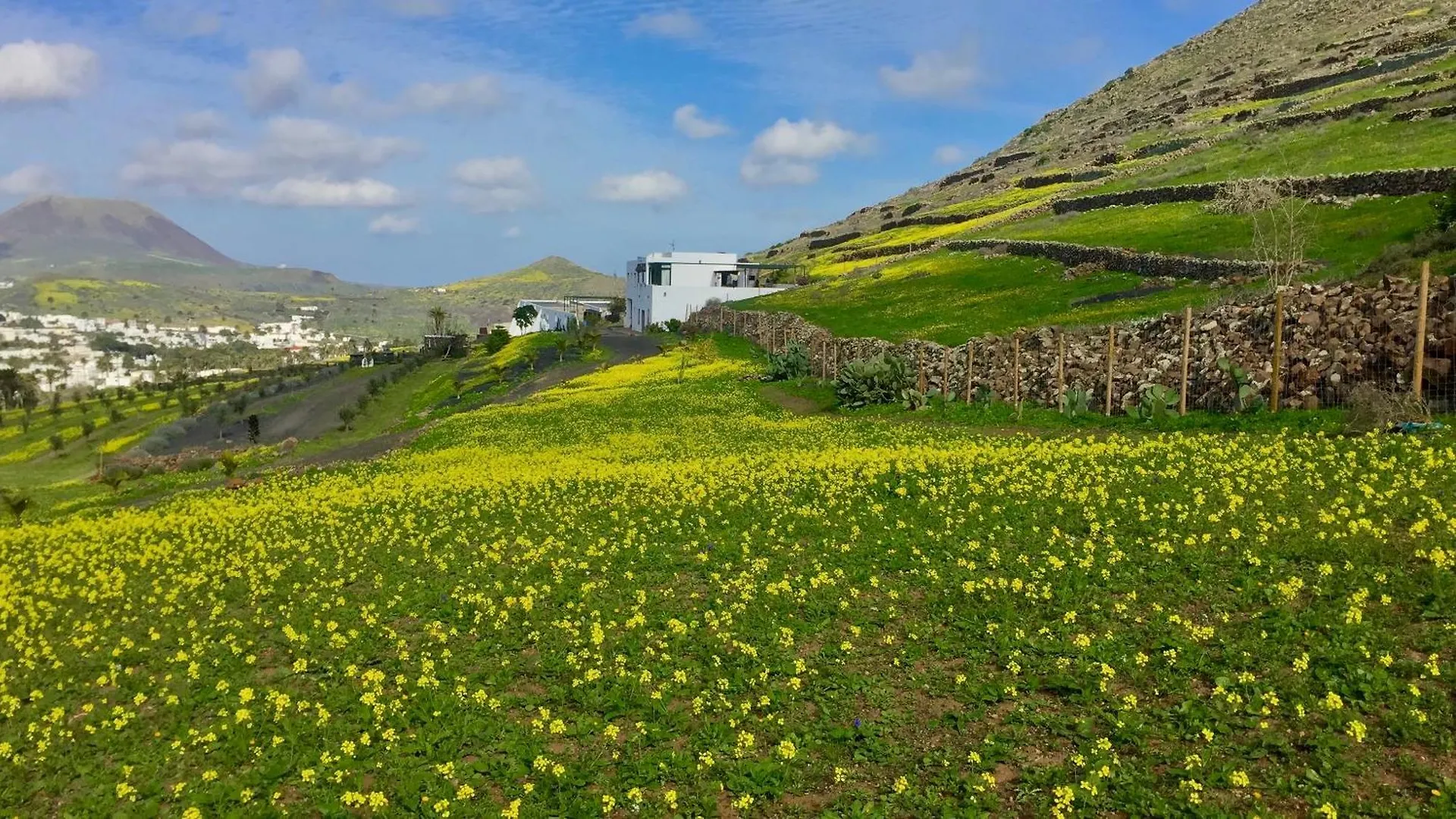 Διαμέρισμα Finca El Pedregal - Suite Olivo Haría